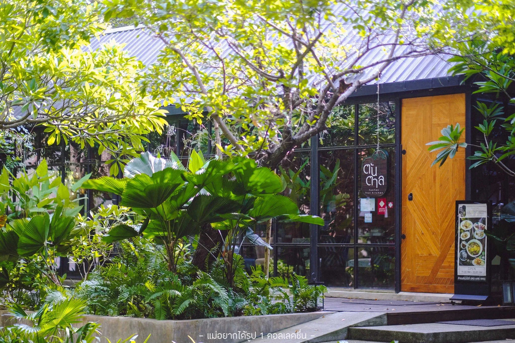 ร้านอาหารต้นตาล: ประตูไม้หน้าร้าน ป้ายต้นตาลท่ามกลางต้นไม้